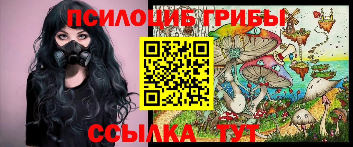 Псилоцибиновые грибы Psilocybine cubensis  где купить   Бутурлиновка  Вход с VPN 